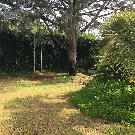 Daniela - In Apartament *