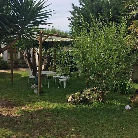 Daniela - In Apartmán