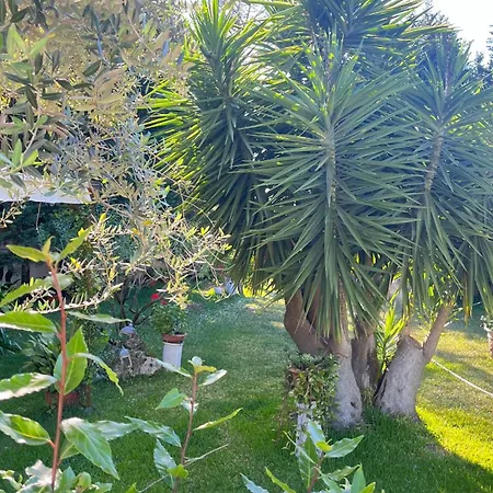 Apartament Daniela - In