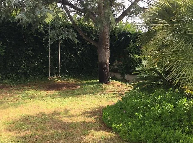 Daniela - In Apartament *