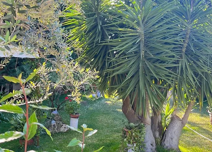 Apartment Daniela - In